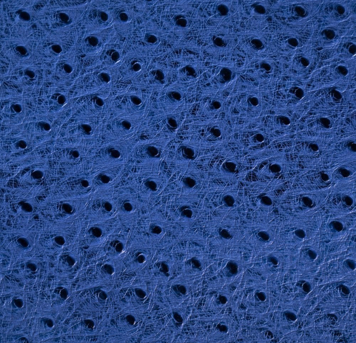 ETIER GUSTO DOUBLE WATCH ROLL OSTRICH LEATHER - AZZURO