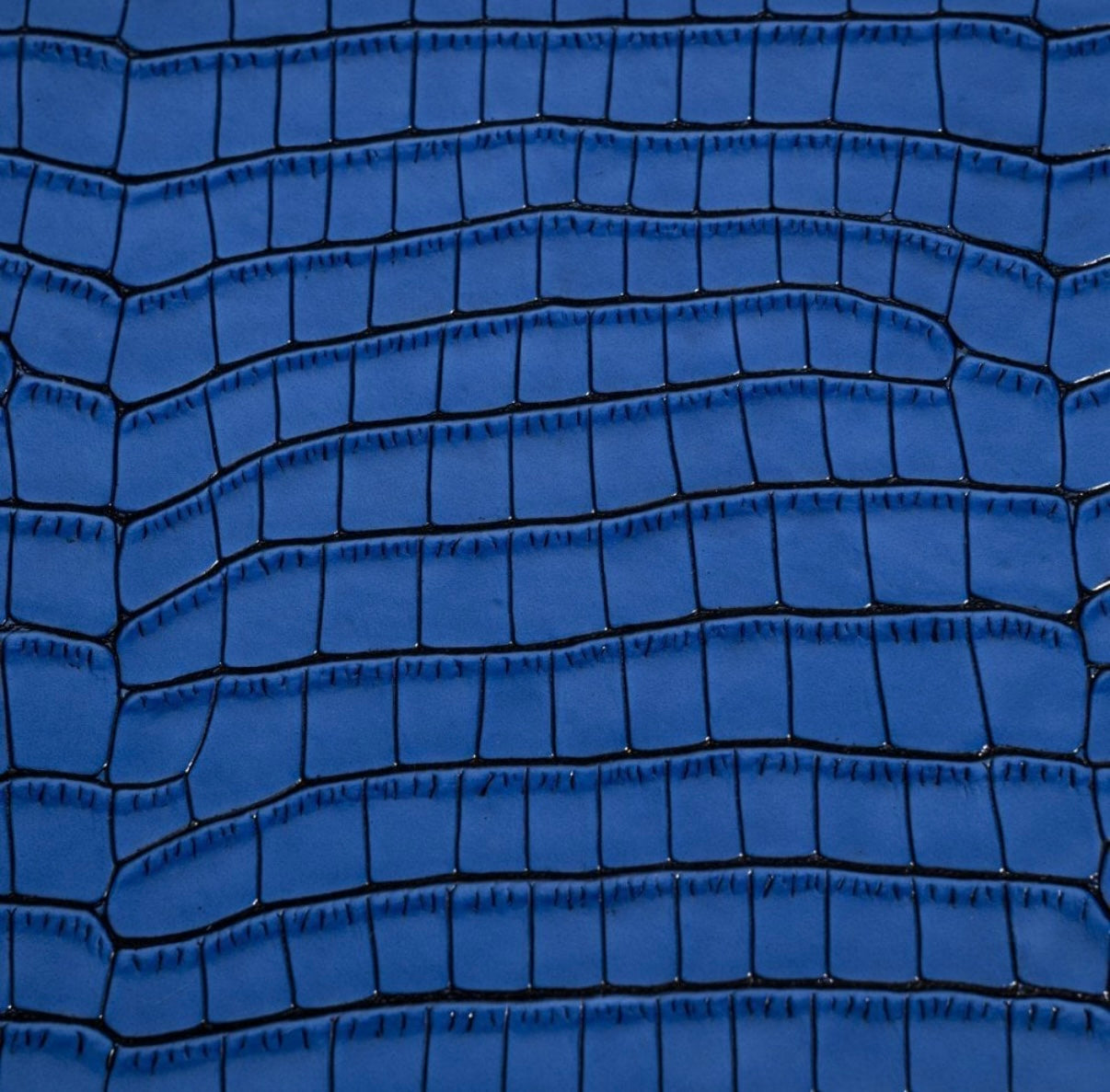 ETIER TEMPO FOUR WATCH CASE CROCODILE LEATHER - AZZURO