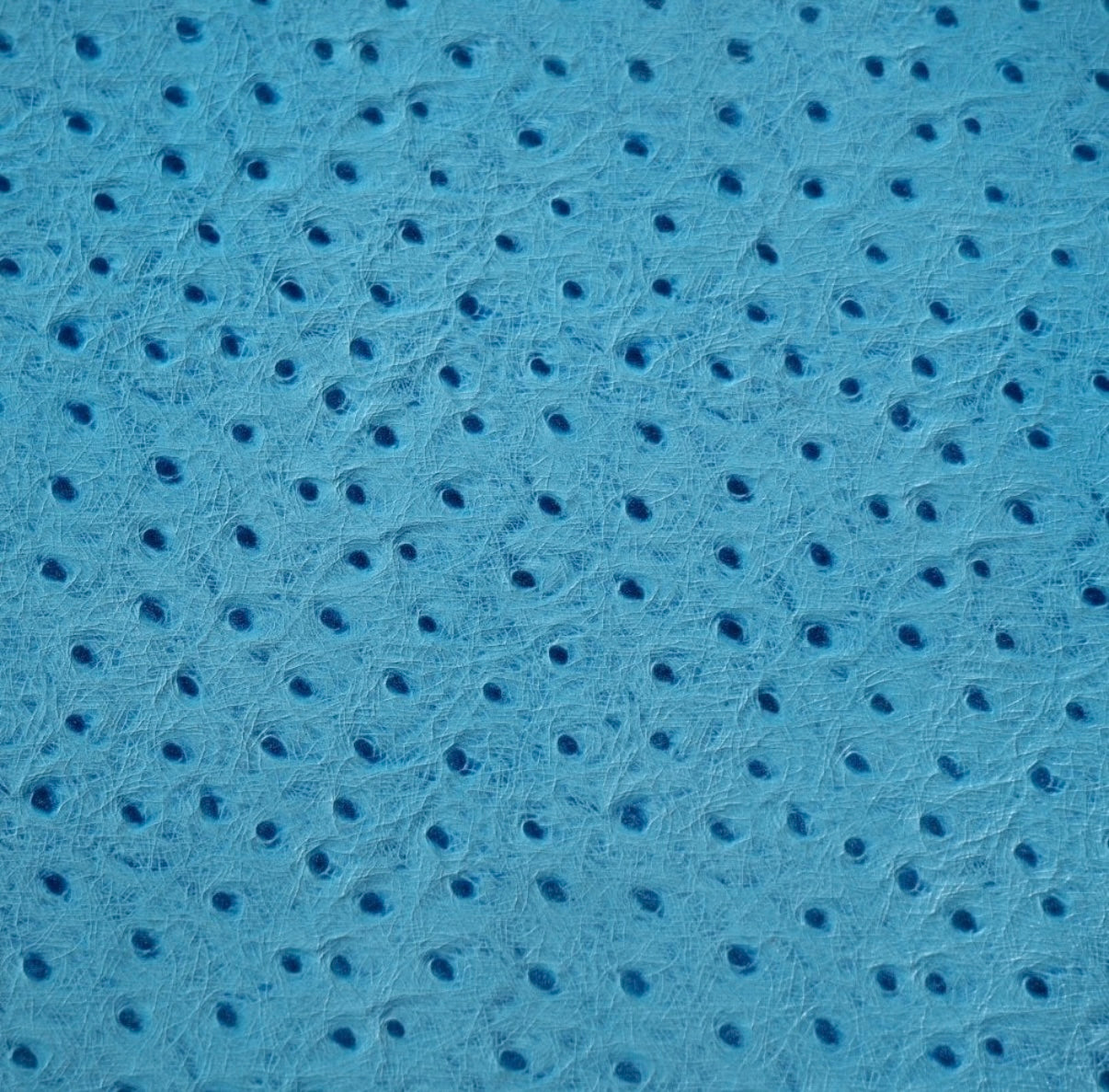 ETIER TEMPO FOUR WATCH CASE OSTRICH LEATHER - AQUA