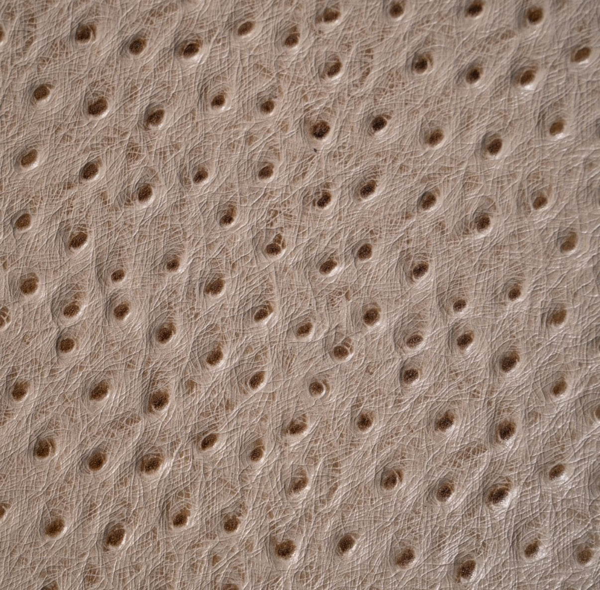 ETIER GUSTO DOUBLE WATCH ROLL OSTRICH LEATHER - LIGHT CAPPUCINO