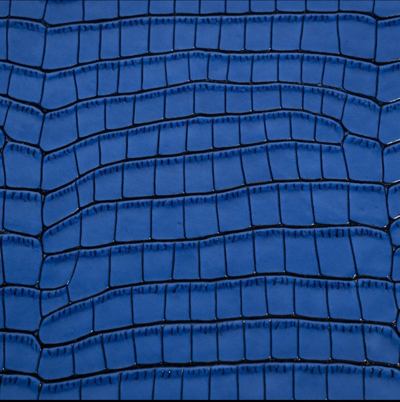 ETIER ZEGATO 10 WATCH CASE CROCODILE LEATHER - AZZURO