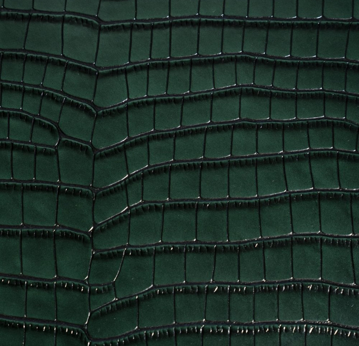 ETIER VERDI DOUBLE WATCH ROLL CROCODILE LEATHER - GREEN