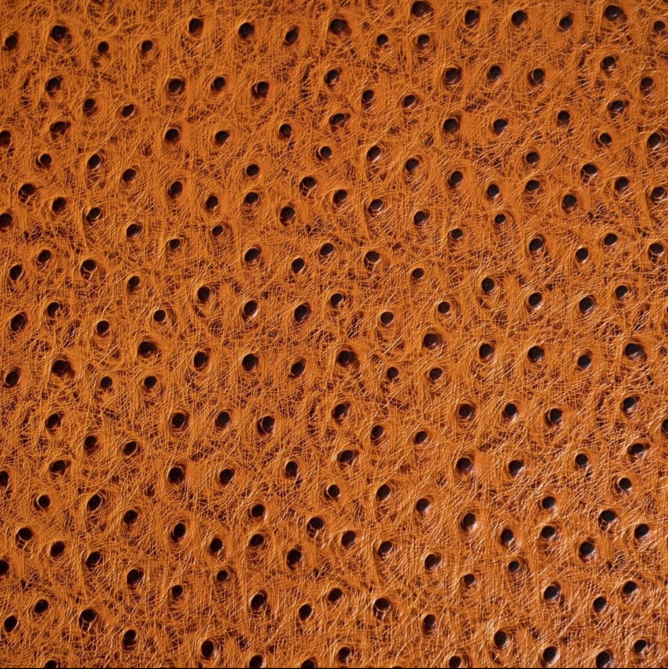 ETIER STRUZZO 10 WATCH CASE OSTRICH LEATHER - TAN