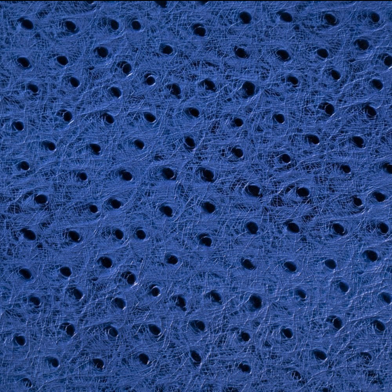 ETIER STRUZZO 10 WATCH CASE OSTRICH LEATHER - AZZURO